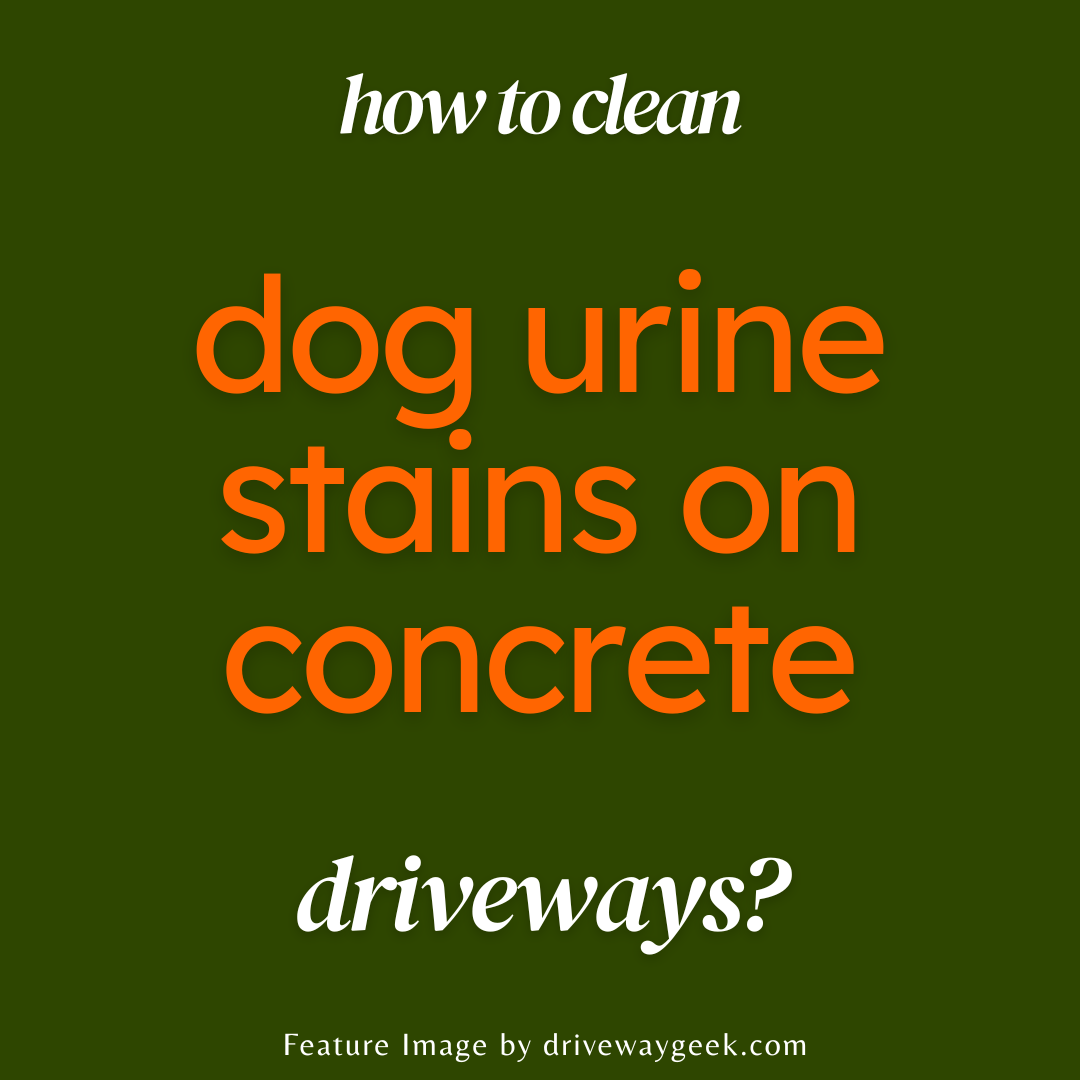 Best Way to Clean Dog Urine Stains on Concrete Driveways! DRIVEWAY GEEK