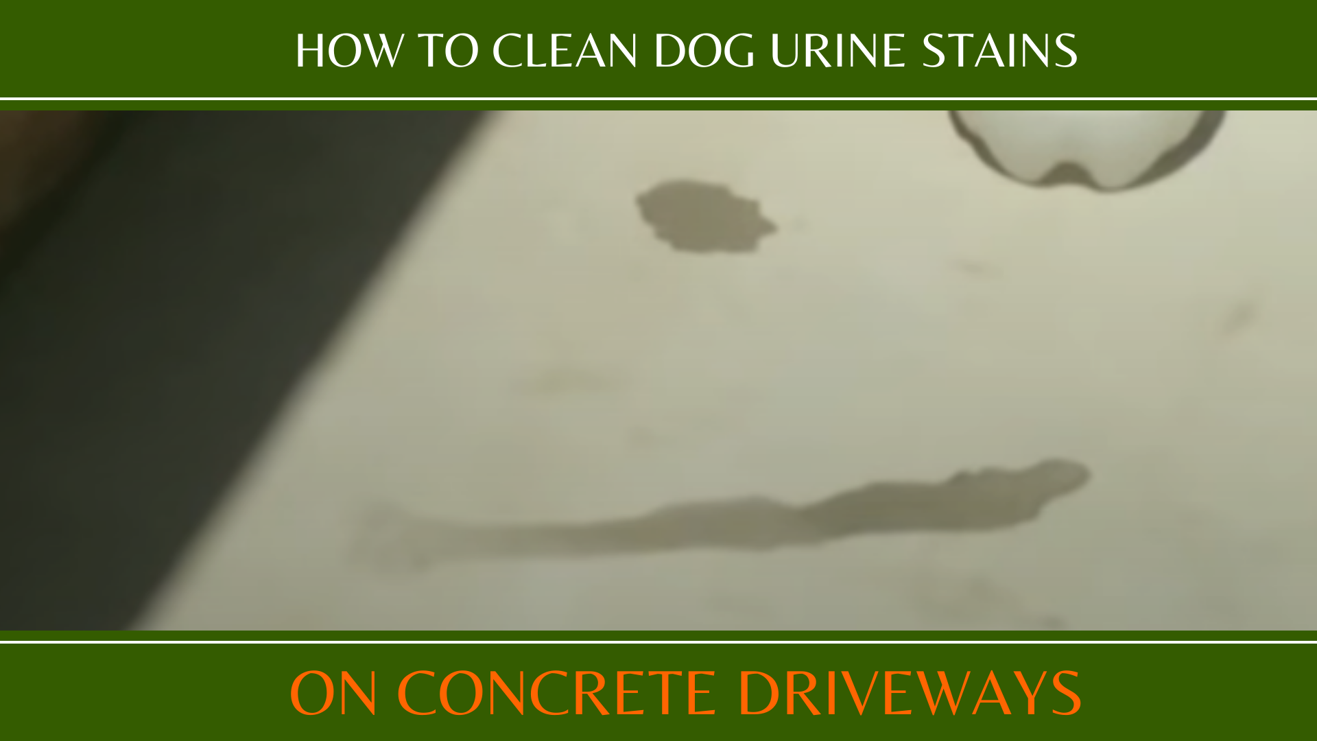 Best Way to Clean Dog Urine Stains on Concrete Driveways!